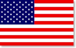 american-flag Mini